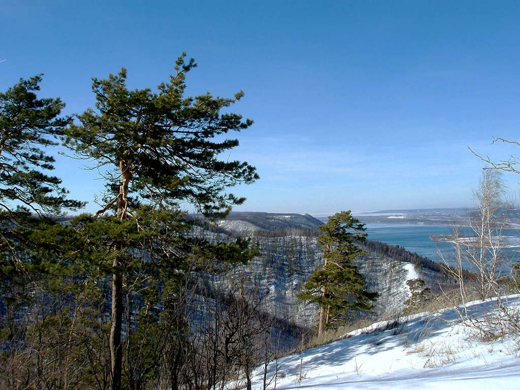 Литературное творчество Кривошеева В.Е.